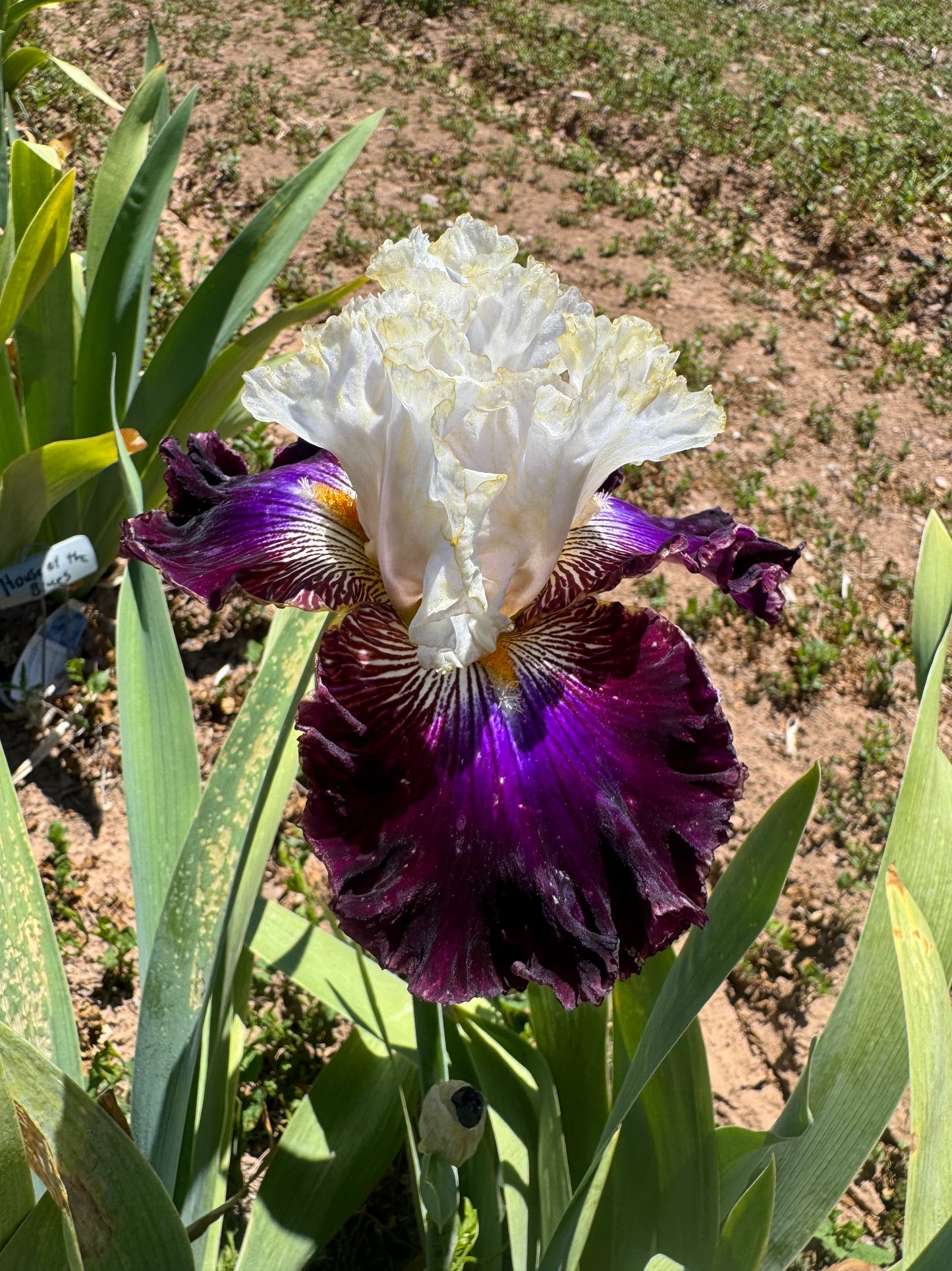 Style and Substance